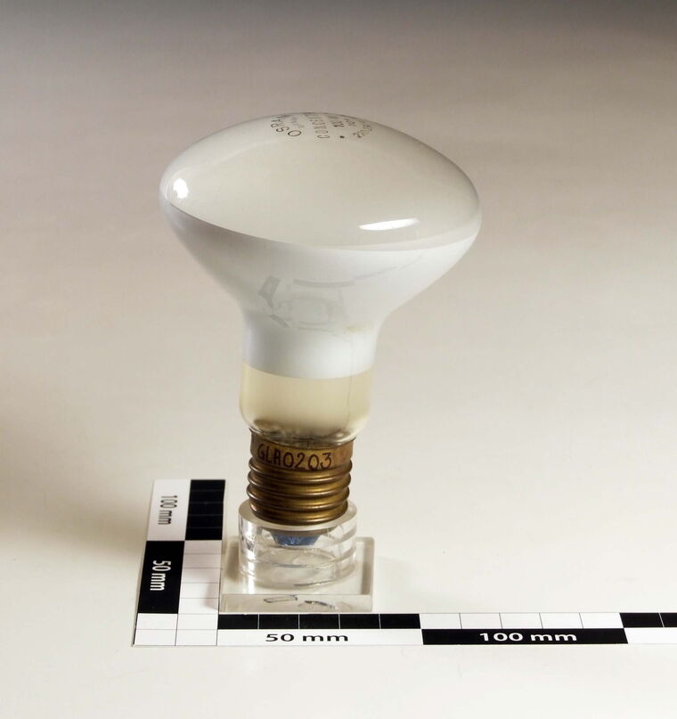 Glühlampe 220 Volt 100 Watt Osram Concentra
