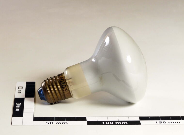 Glühlampe 220 Volt 100 Watt Osram Concentra
